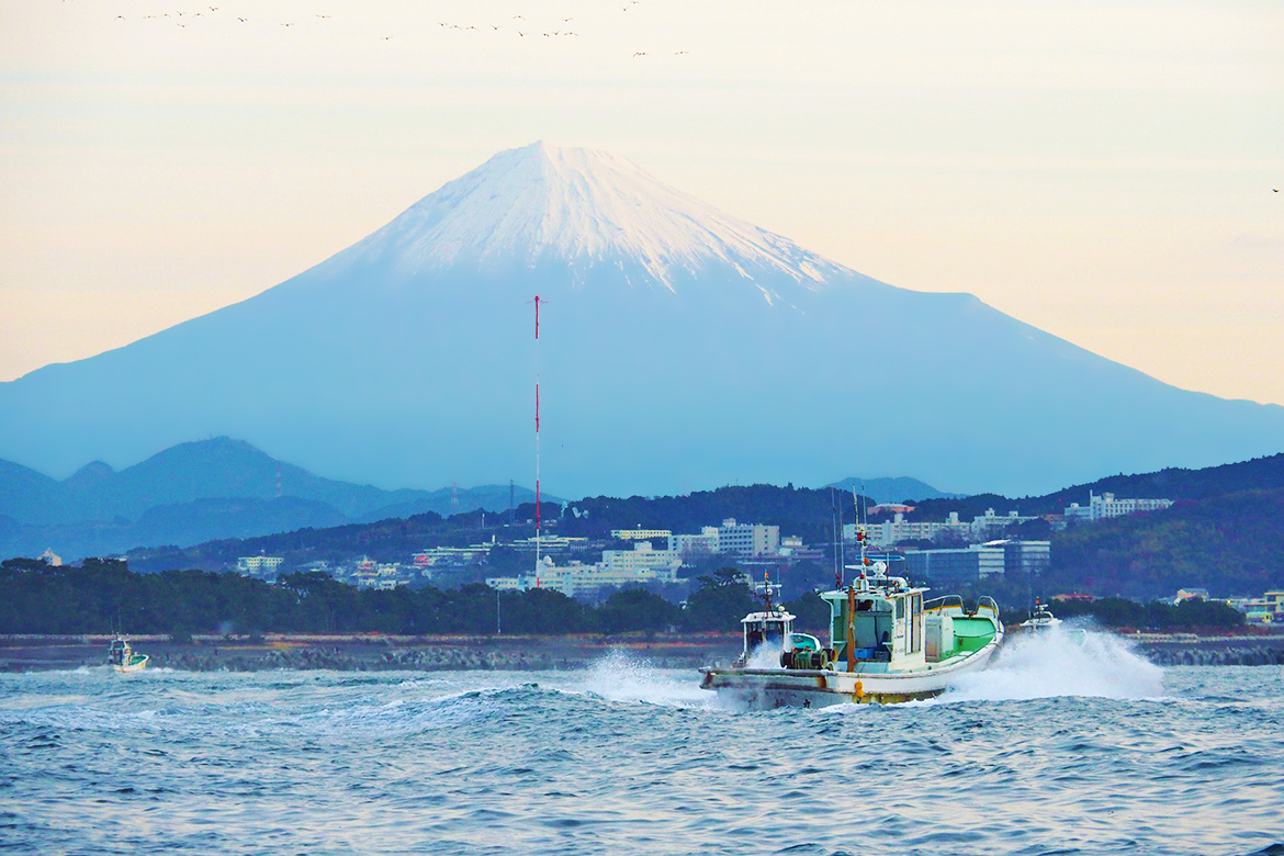 fuji_fishport_03.jpg