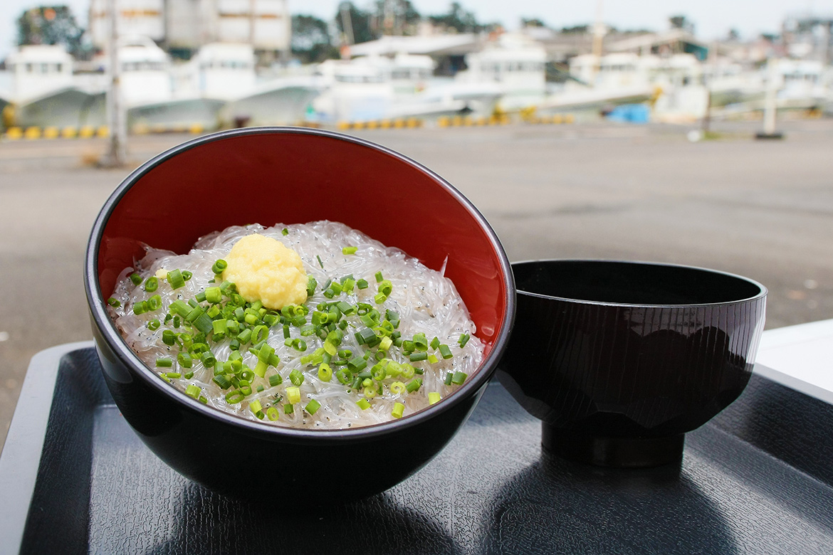 生しらす丼