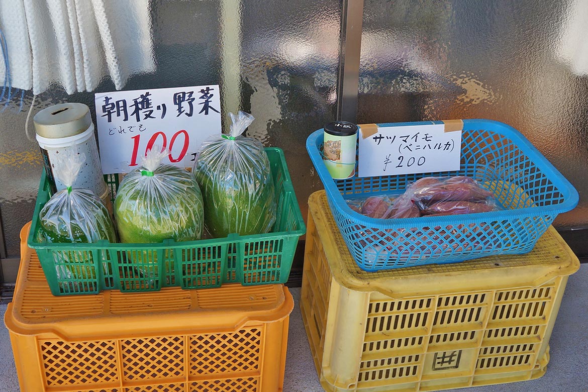 無人販売朝採れ野菜