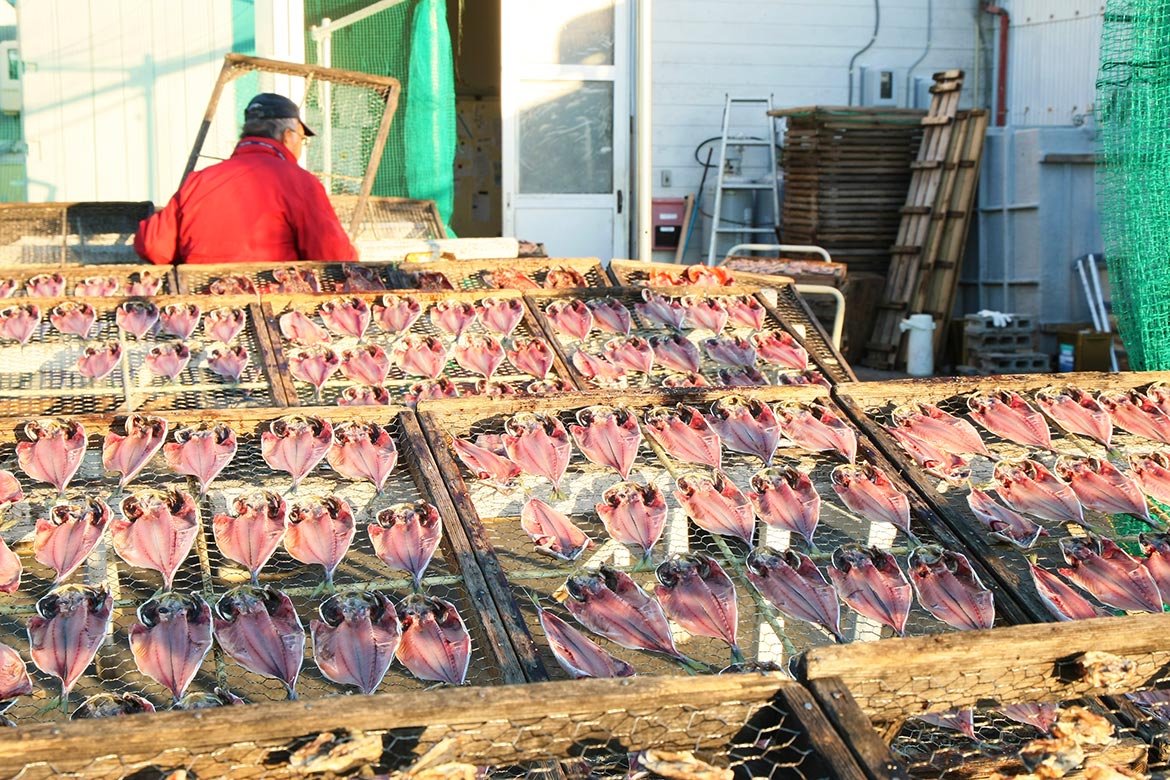 かねいちの干物