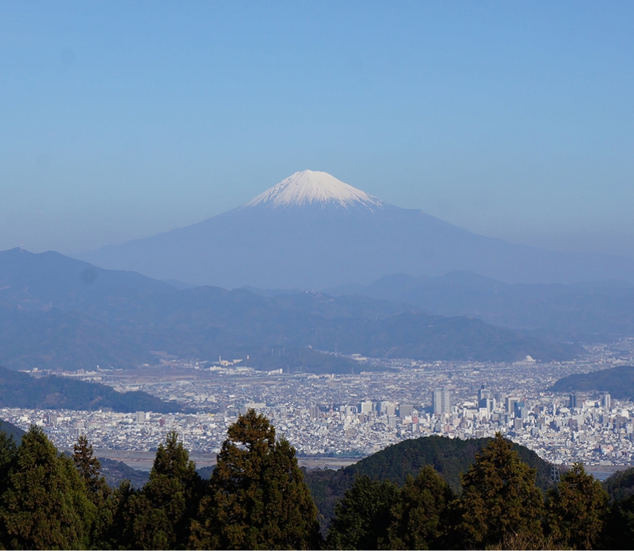 富士山を観る